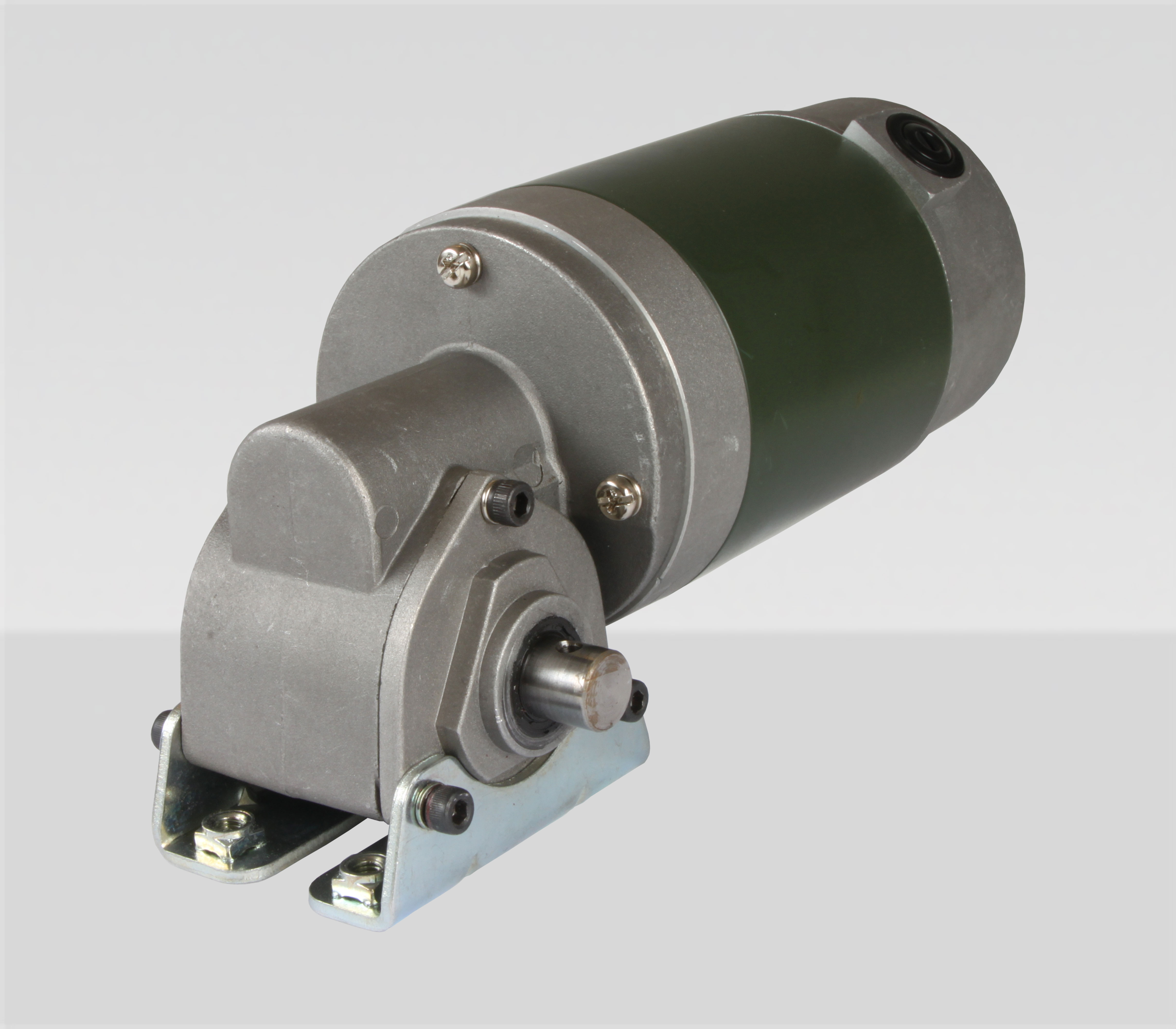Worm gear DC motor 12VDC 21A 245rpm 201W - Transmotec