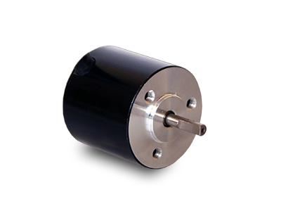 Brushless Dc Motors Bldc Motors Brushless Dc Motors Transmotec
